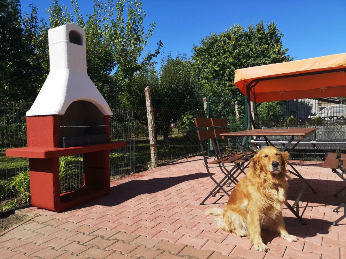 Apartman Kaszas Garden Mosonmagyarovar Bagian luar foto